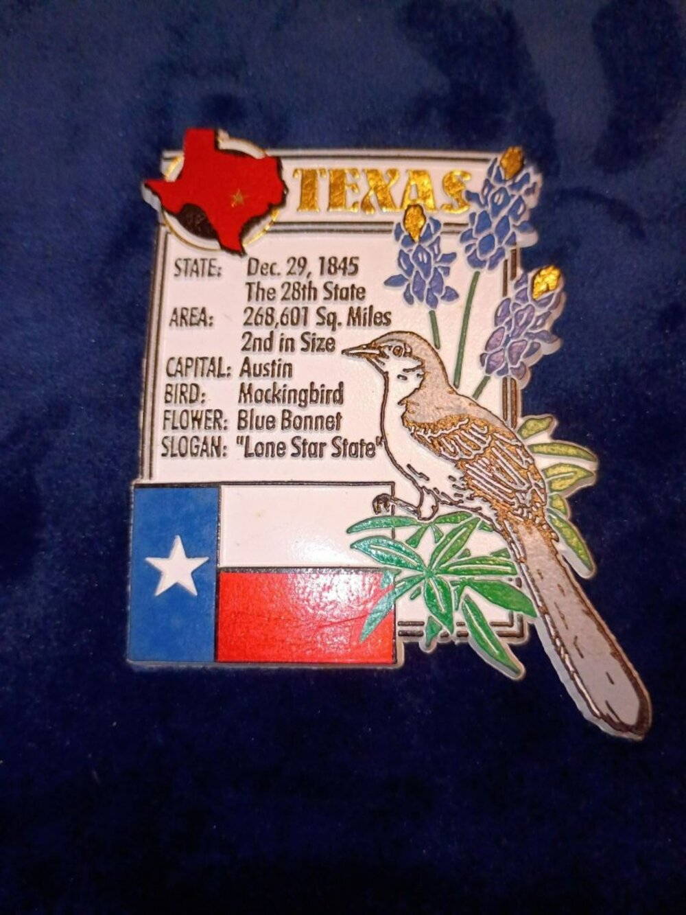 Vintage Texas State Souvenir Magnet With Mockingbird Bluebonnets & Flag Design